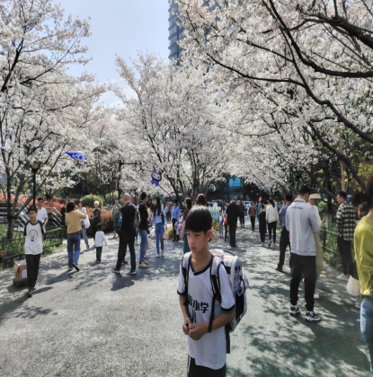 浙江省武义县茭道镇：千树万树樱花开  反邪教宣传迎客来258.png